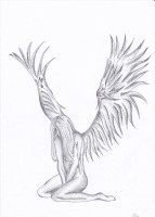 /album/partnerum/img-0005-jpg/