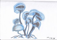 /album/partnerum/img-0017-jpg1/