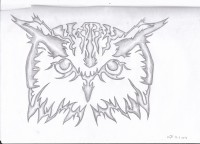 /album/partnerum/img-0023-jpg/