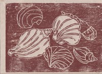 /album/partnerum/img-0029-jpg/